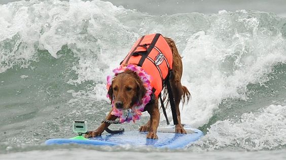 Beach Training